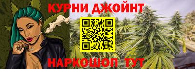 PSILOCYBIN Кингисепп